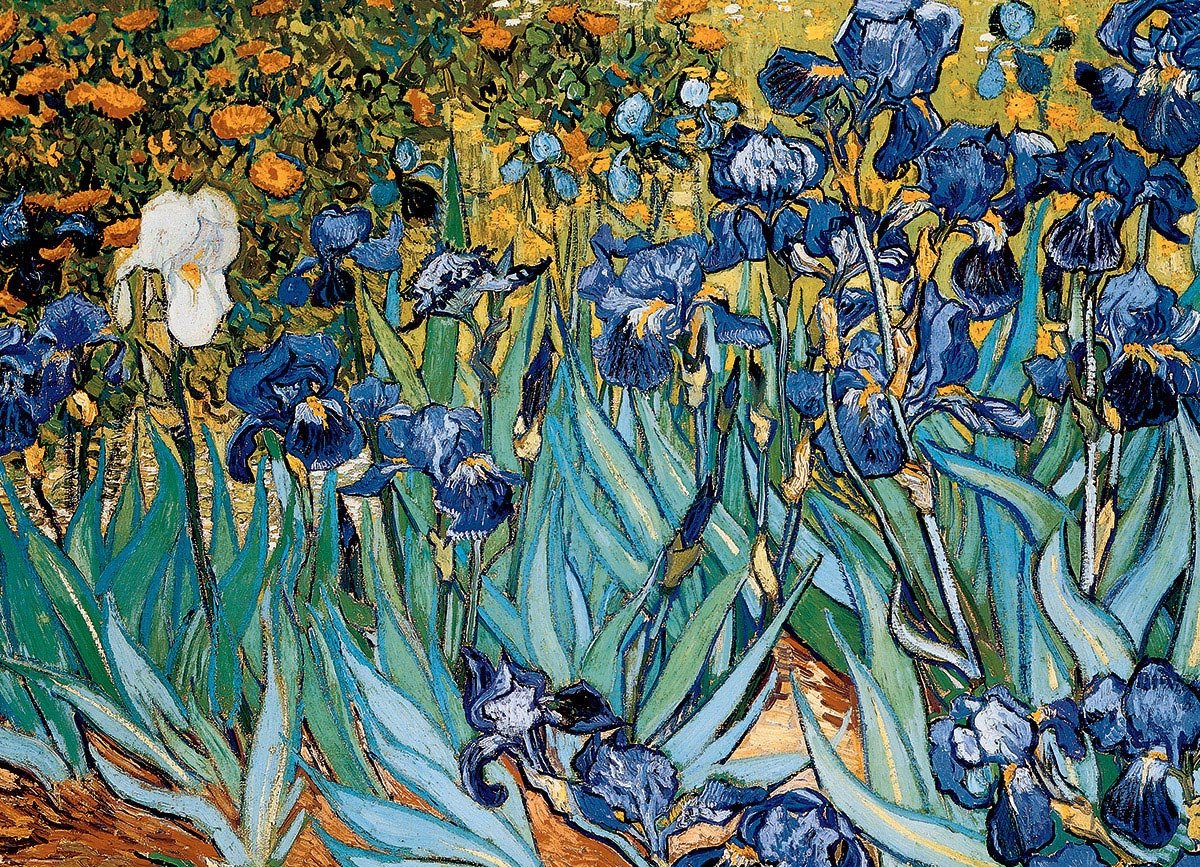 Puzzle Eurographics - 1000 p - Iris - Vincent Van Gogh - Image 3