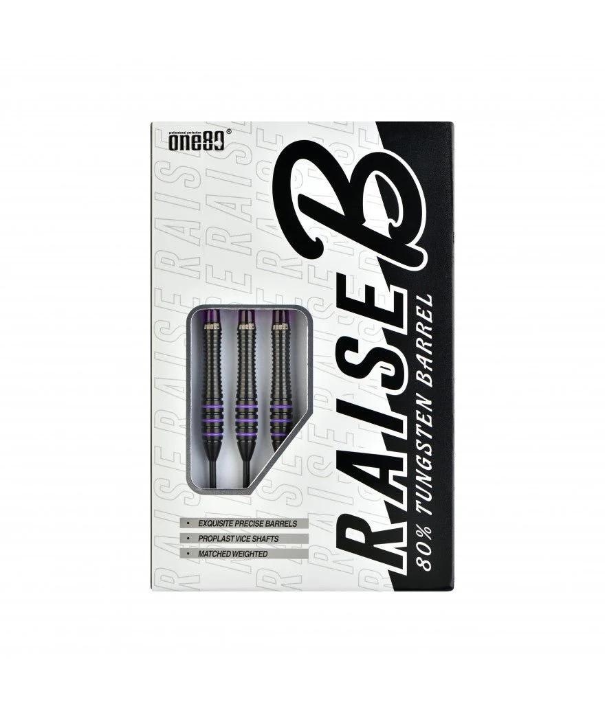 Fléchettes 80% Nickel Tungstène - Raise B - Violet