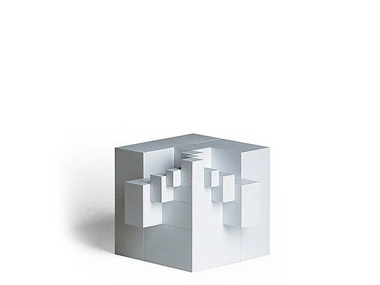 Tectus - Image 3